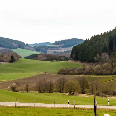 Spacious Holiday In Niederlandenbeck With Sauna Vakantiehuis Schmallenberg